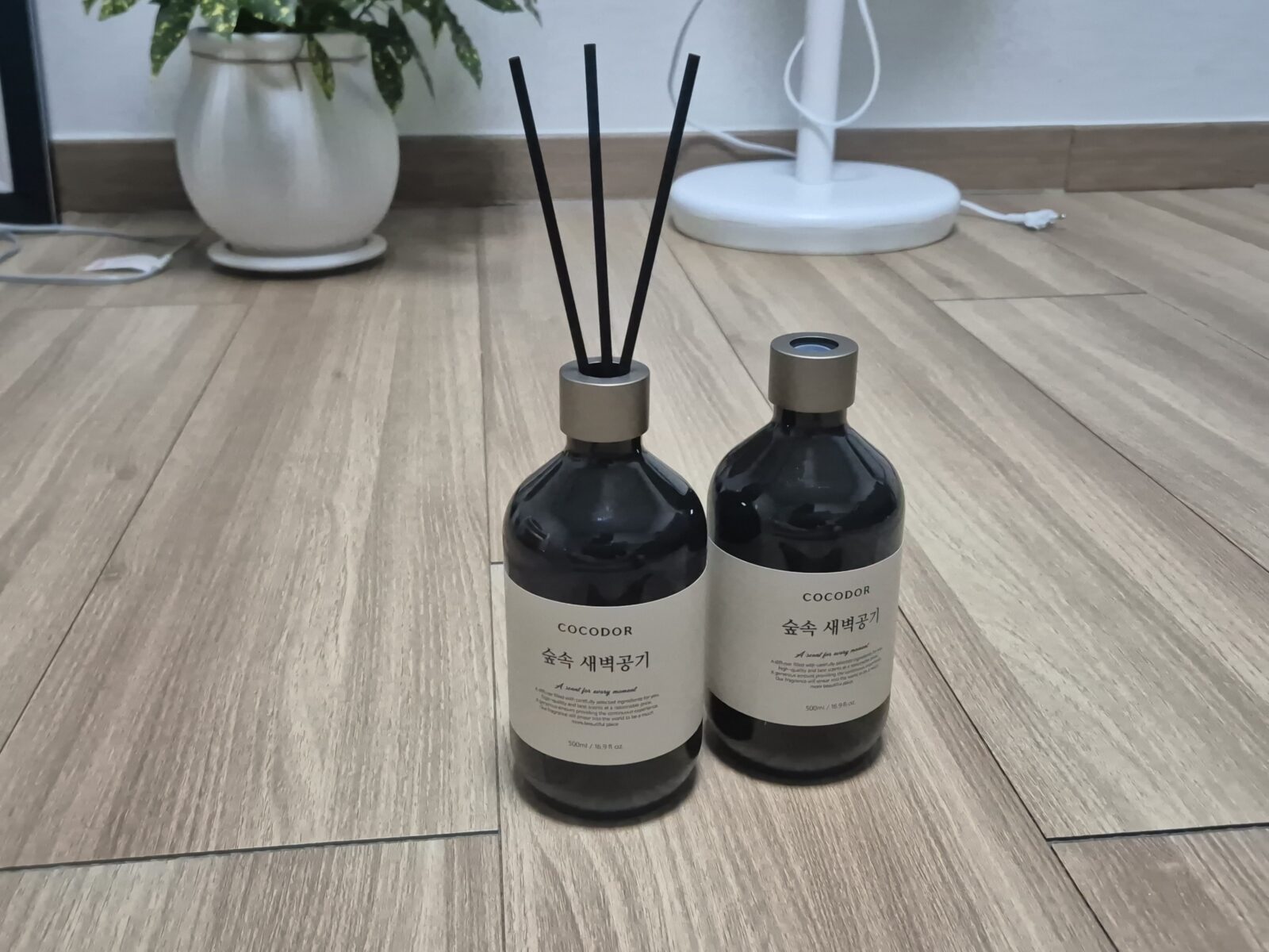 디퓨저 스틱을 꽂고 직접 사용 중인 코코도르 숲속새벽공기향